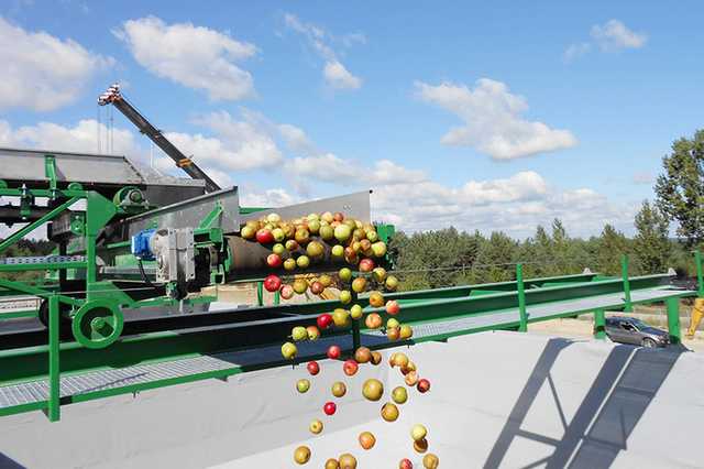 Украина увеличила экспорт соков в три раза