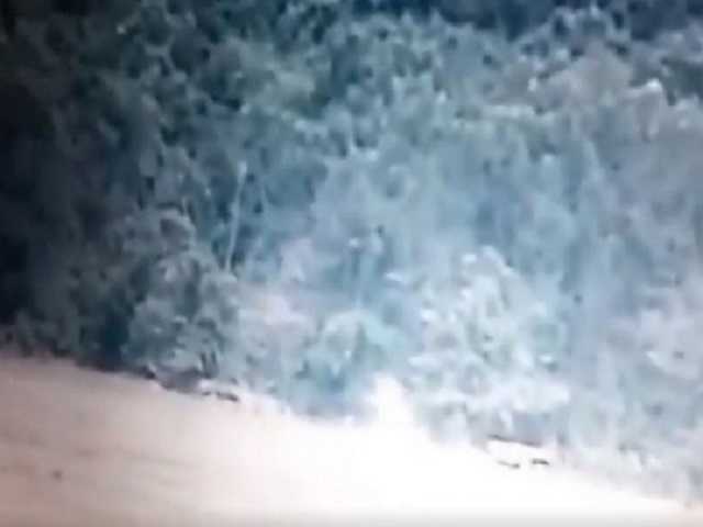 На Донбассе уничтожили опорный пункт боевиков: в сеть попало мощное видео