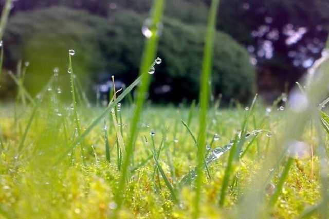 Украину накроют дожди: синоптики предупредили о резком ухудшении погоды