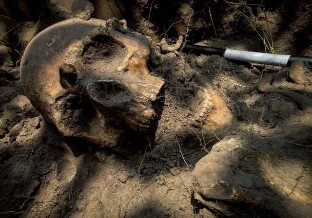 На Житомирщині знайшли братську могилу жертв комуністів: 170 замучених більшовиками