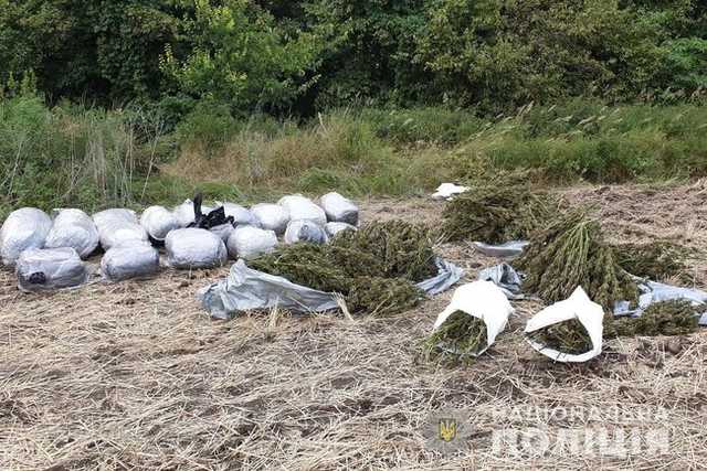 150 кг марихуаны: полицейские обнаружили в лесополосе на Луганщине склад наркотиков