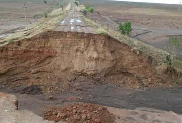 В Кирилловке сильный ураган вырывал деревья с корнями