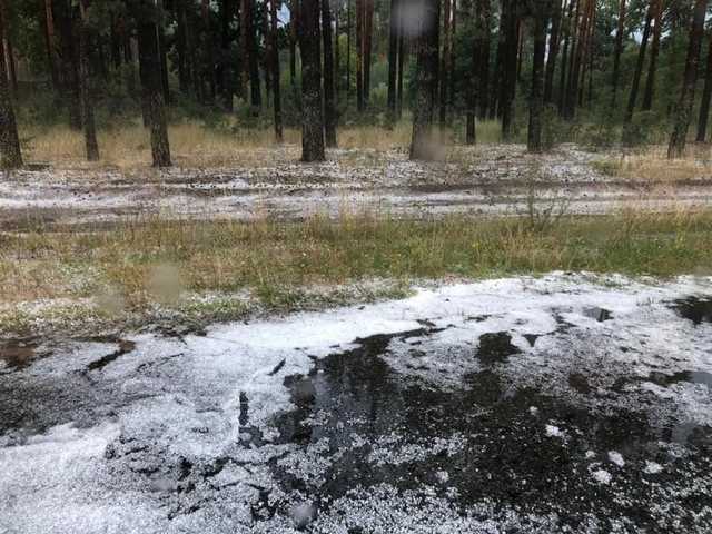 Под Киевом выпал снег, синоптик объяснила причины