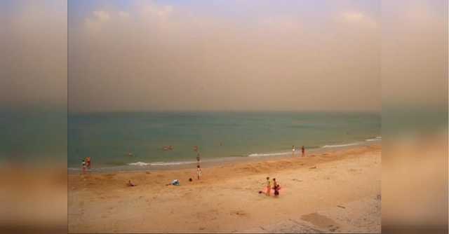 Запорожскую область накрыли пылевые бури