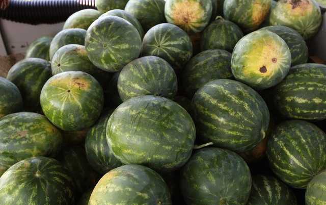 "Бактериологическое оружие!" Украину заполонили опасные ягоды и фрукты