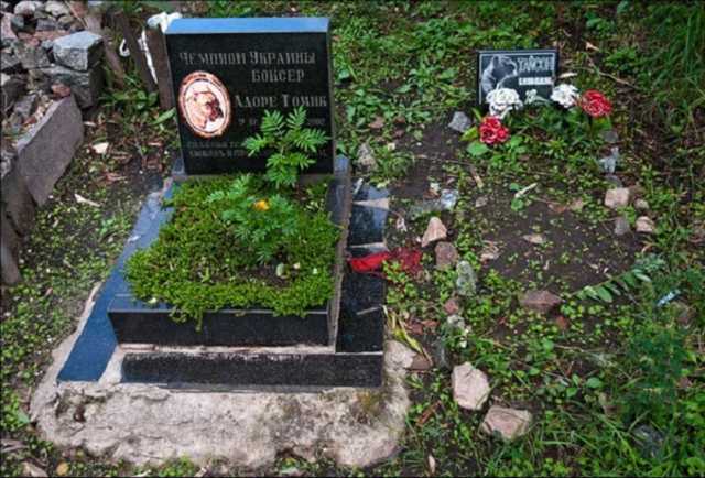 В Киеве хотят снести кладбище домашних животных для строительства коллектора