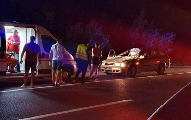 На Закарпатье конь стал причиной ДТП