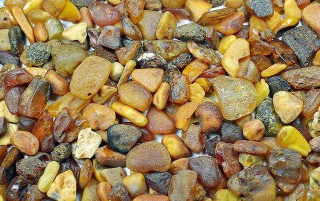 На Житомирщині п’ятьом людям повідомили про підозру в незаконному видобутку бурштину