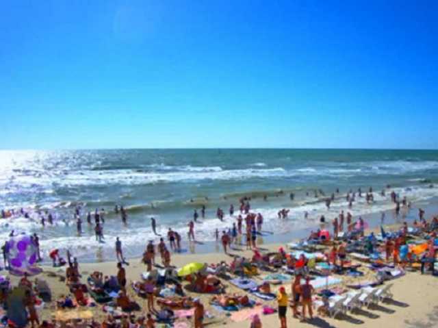 Водоросли ушли в море: блогер рассказал о ситуации в Кирилловке