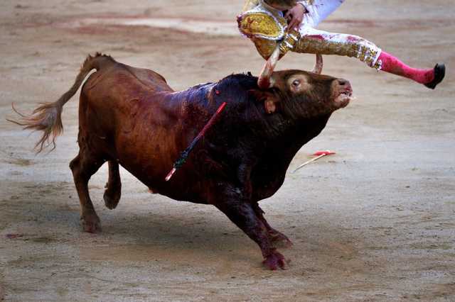 В Іспанії під час фестивалю бик на смерть проштрикнув рогами чоловіка