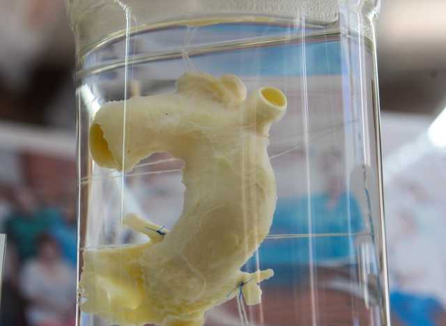 В оккупированном Луганске открыли музей с шокирующими экспонатами