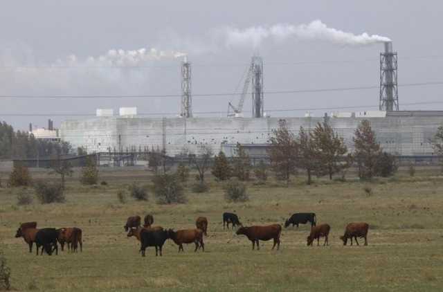 У детей сыпь, кашель, жжение в глазах: что пытаются скрыть власти оккупированного Крыма