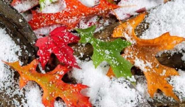 Снег, дождь и морозы: народный синоптик огорчил прогнозом погоды на осень