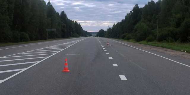 Жительница Киева ходила по трассе и бросалась под проезжающие машины