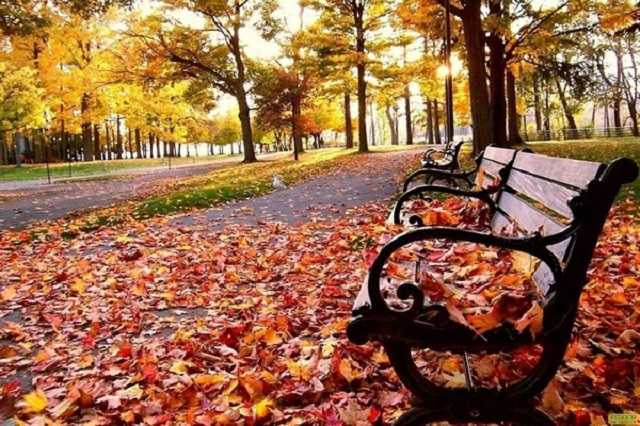 Погода захандрит: синоптики уточнили прогноз по похолоданию в Украине