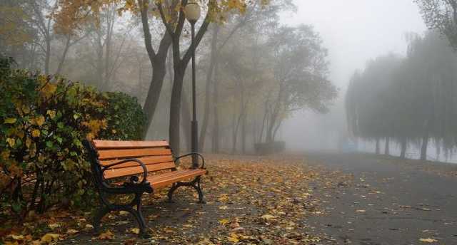 Похолодает и начнутся дожди: Народный синоптик обновил прогноз