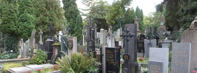 В Киеве на Лесном кладбище нашли разлагающийся труп повешенного мужчины