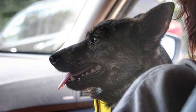 Джессі з “Яни Капу” повернеться до екіпажу