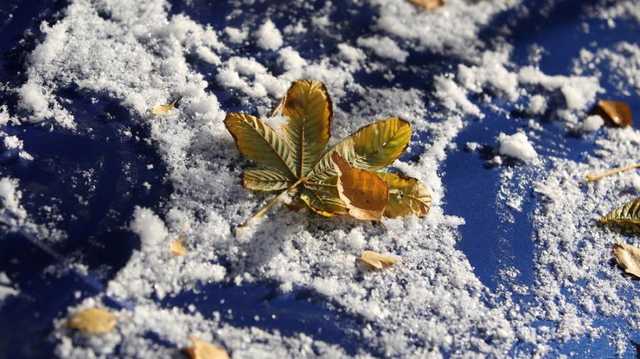 В Украине внезапно выпал первый снег
