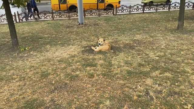 «Нас обманывали…»: блогер из Донецка попытался развенчать один из «мифов»
