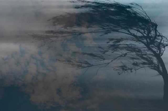 В воскресенье в столице ожидается первый уровень опасности из-за сильного ветра