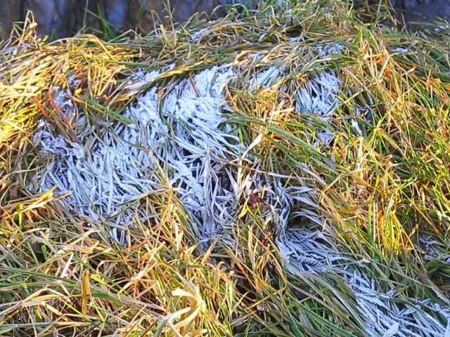 Погода на 22 сентября: в Украине днем будет тепло, ночью - заморозки