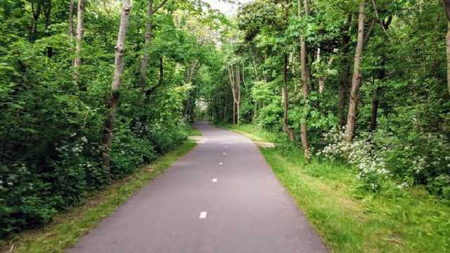 В лесополосе под Варшавой нашли тело украинца: мужчина исчез еще в июле