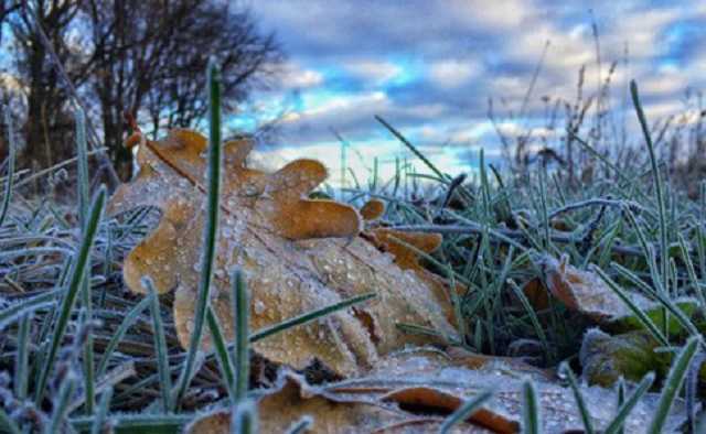 В Украину придут заморозки