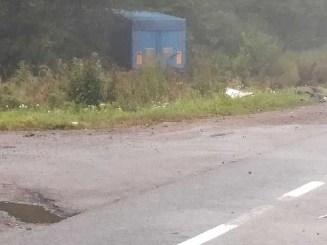 Авто вылетели на обочину: На Львовщине столкнулись «Шкода» и грузовик, есть погибшие