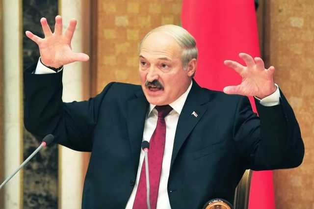 Лукашенко назвал себя "старым политическим волком" и прокомментировал встречу Трампа и Зеленского