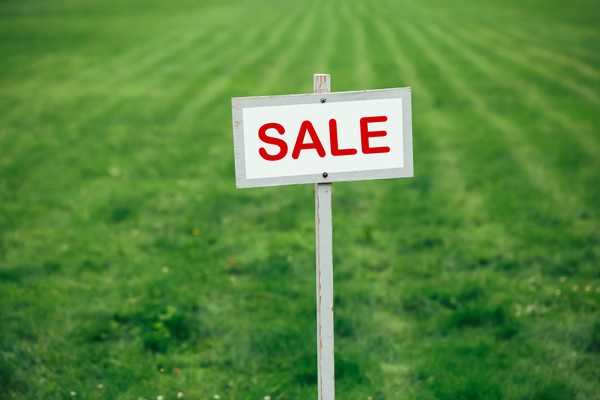 Отмену моратория на продажу земли не поддерживают 52% украинцев