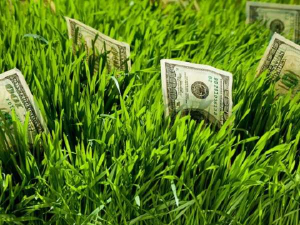 Рынок земли: кому селяне смогут продать свои земельные паи