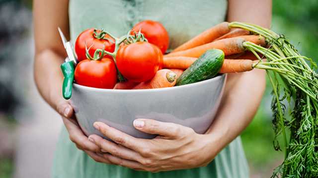 Украина установила рекорд по импорту овощей