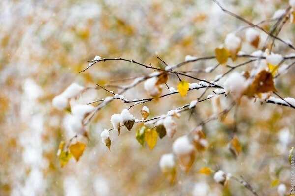 До -23! Синоптики рассказали о суровой погоде в октябре