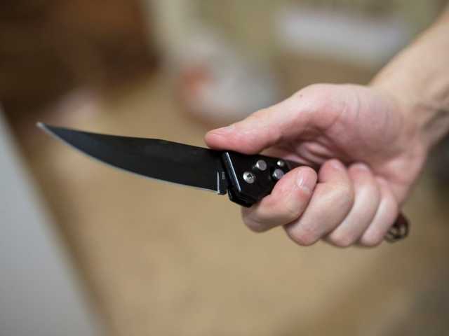 Житель Полтавской области после застолья зарезал сожителя матери