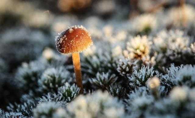 В Украину идет снег: объявлено штормовое предупреждение