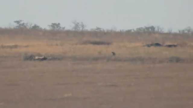 Украинские СМИ показали, как боевики укрепляют свои позиции на линии разграничения