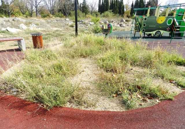 Пушки и "Катюша": в сети показали фото "военного" парка для детей в Крыму