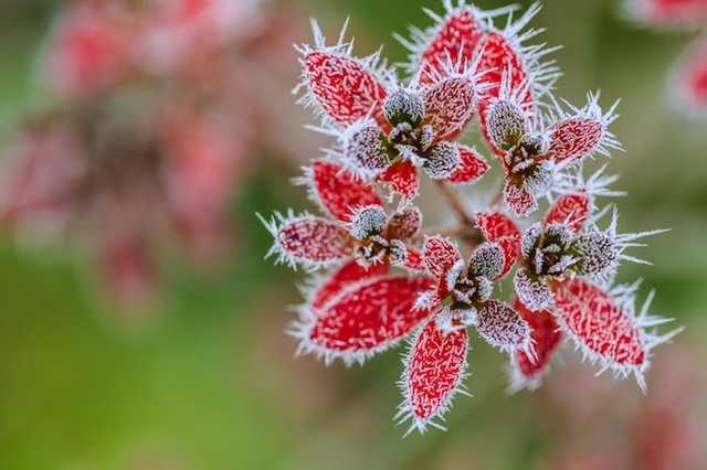 Заморозки до -5°: синоптики дали прогноз на тиждень