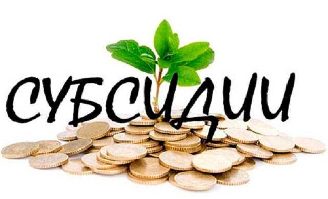 Стало известно, как в Украине узнать размер начисленных субсидий