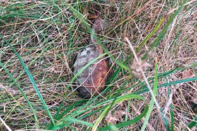 На Закарпатье подорвались трое детей: детали жуткого ЧП