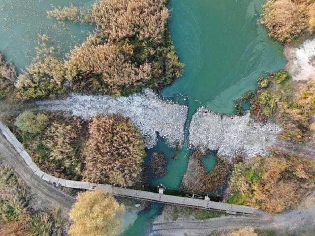 «Розчистка Сули» для екс-міністра Тараса Кутового: загрожений заказник “Середньосульський”