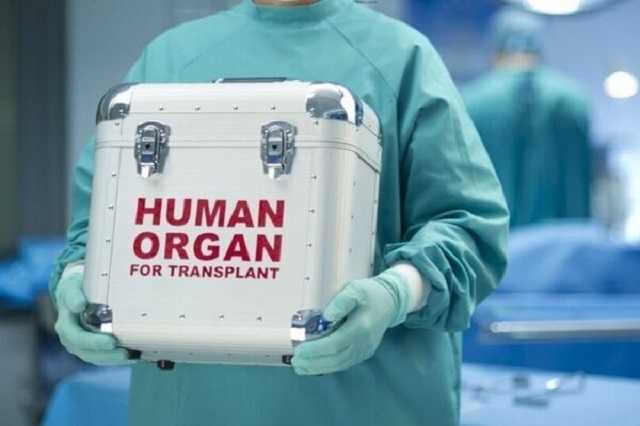 Трансплантация в Украине: глава Минздрава назвала сроки
