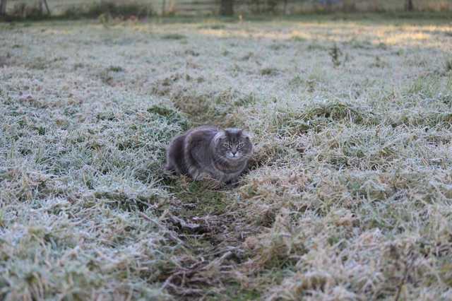 До минус 20: украинцам сообщили, когда ожидать настоящей зимы
