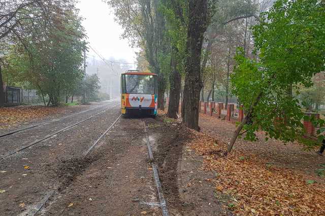 В Днепре трамвай сошел с рельсов и “срезал” ствол дерева, движение временно заблокировано