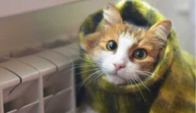 "Готовим керосиновые лампы": отопительный сезон в Украине под угрозой