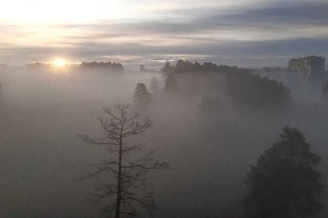Туманы и сильный ветер: синоптики предупредили о резком ухудшении погоды в Украине