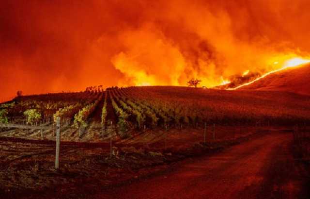 В Калифорнии 100 тысяч человек эвакуируют из-за лесных пожаров