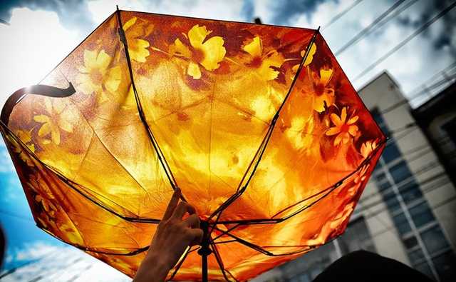 Температура значительно поднимется! Синоптик обрадовала киевлян потеплением в начале ноября