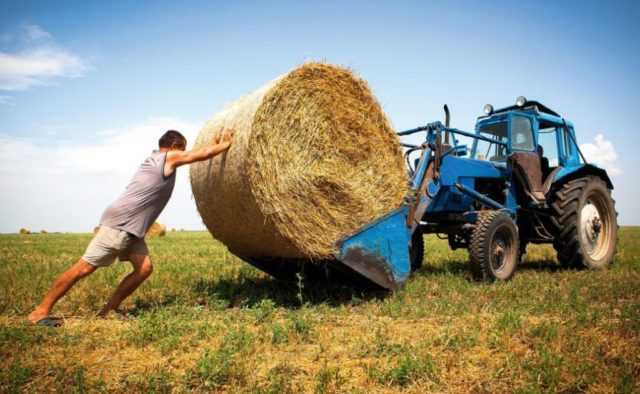 Фермеры без права собственности на землю будут лишены паев